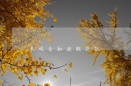 长城金融逾期还款 长城金融逾期还款