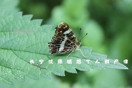 长宁优质婚后个人财产律师哪个好
