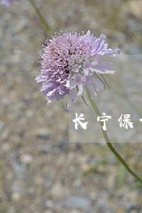 长宁保证合同纠纷律师费用