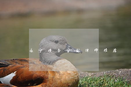 长宁债务分割律师推荐 长宁债务分割律师推荐