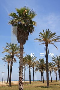 长宁债务危机处理律师 长宁债务危机处理律师
