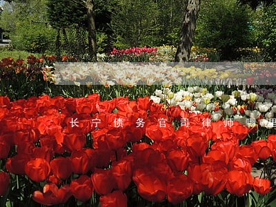 长宁债务官司律师哪里找 长宁债务官司律师哪里找