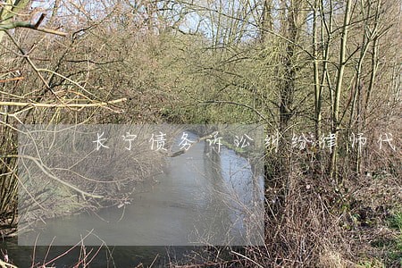 长宁债务诉讼纠纷律师代理费 长宁债务诉讼纠纷律师代理费