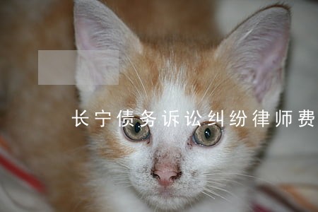长宁债务诉讼纠纷律师费用 长宁债务诉讼纠纷律师费用