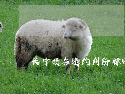 长宁债务违约纠纷律师 长宁债务违约纠纷律师