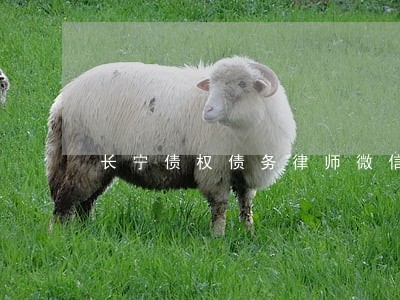 长宁债权债务律师微信免费咨询 长宁债权债务律师微信免费咨询