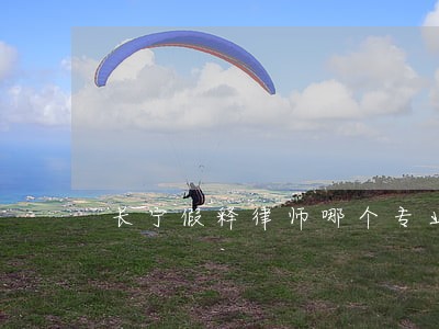 长宁假释律师哪个专业 长宁假释律师哪个专业