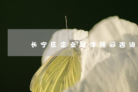 长宁区企业法律顾问咨询