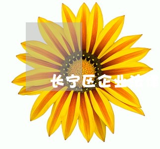长宁区企业法律顾问服务 长宁区企业法律顾问服务