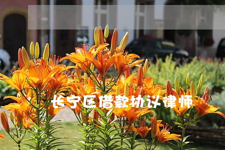 长宁区借款协议律师 长宁区借款协议律师