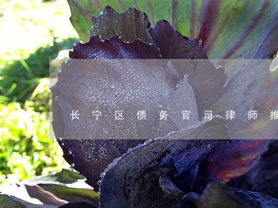 长宁区债务官司律师推荐 长宁区债务官司律师推荐