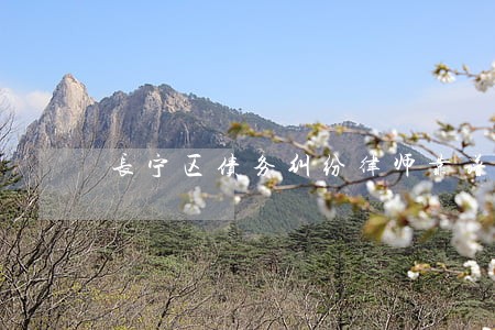 长宁区债务纠纷律师靠谱吗 长宁区债务纠纷律师靠谱吗