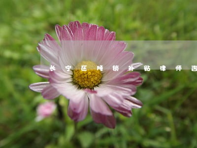 长宁区倾销补贴律师咨询电话 长宁区倾销补贴律师咨询电话