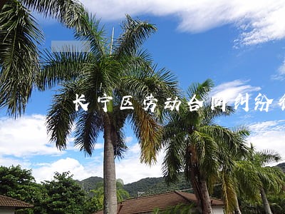 长宁区劳动合同纠纷律师微信咨询 长宁区劳动合同纠纷律师微信咨询