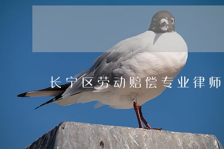 长宁区劳动赔偿专业律师 长宁区劳动赔偿专业律师