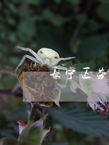 长宁区劳动赔偿律师 长宁区劳动赔偿律师