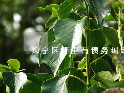 长宁区哪里有债务纠纷律师 长宁区哪里有债务纠纷律师