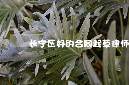 长宁区好的合同起草律师 长宁区好的合同起草律师