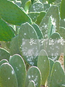 长宁区婚姻家庭律师联系方式