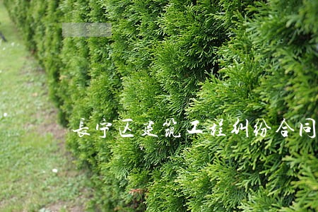 长宁区建筑工程纠纷合同律师 长宁区建筑工程纠纷合同律师