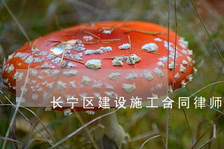 长宁区建设施工合同律师哪个好 长宁区建设施工合同律师哪个好
