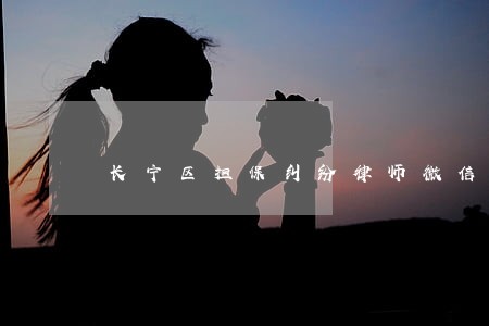 长宁区担保纠纷律师微信咨询 长宁区担保纠纷律师微信咨询