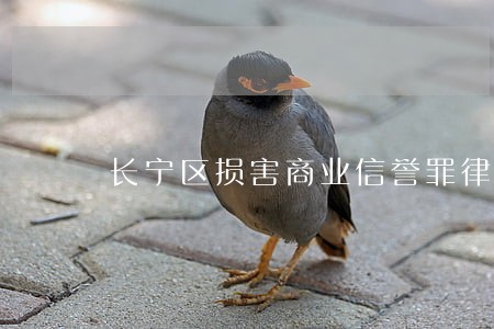 长宁区损害商业信誉罪律师 长宁区损害商业信誉罪律师