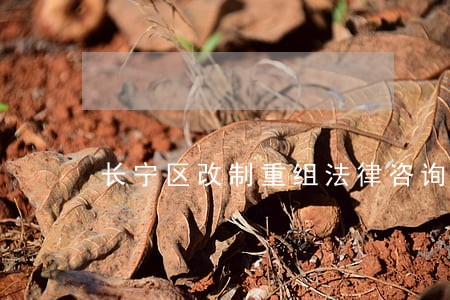 长宁区改制重组法律咨询热线 长宁区改制重组法律咨询热线