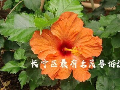 长宁区最有名民事诉讼律师费用 长宁区最有名民事诉讼律师费用