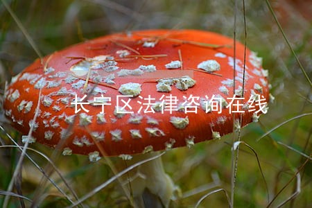 长宁区法律咨询在线 长宁区法律咨询在线