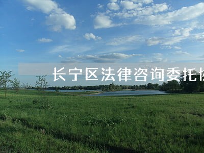 长宁区法律咨询委托协议