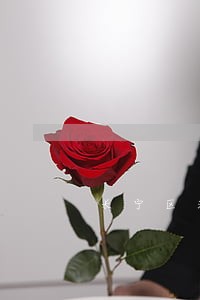 长宁区法律援助中心 长宁区法律援助中心