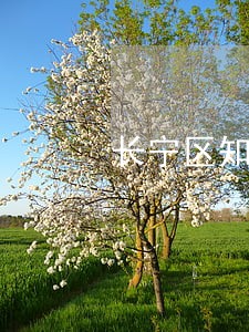 长宁区知名刑事律师排名费用