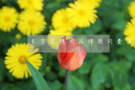 长宁区聘用法律顾问费用 长宁区聘用法律顾问费用