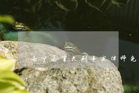 长宁区重大刑事案律师免费咨询