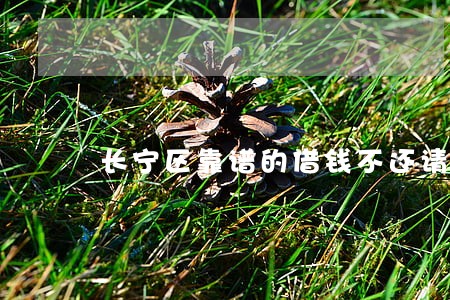长宁区靠谱的借钱不还请律师 长宁区靠谱的借钱不还请律师