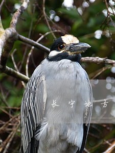长宁地方债务律师 长宁地方债务律师