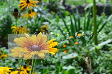 长宁夫妻共同债务律师 长宁夫妻共同债务律师