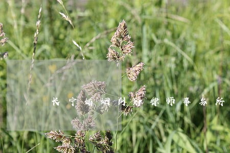 长宁婚姻纠纷律师事务所 长宁婚姻纠纷律师事务所