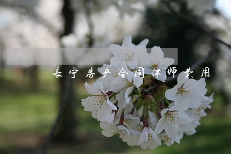 长宁房产合同律师费用 长宁房产合同律师费用