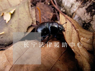 长宁法律援助中心 长宁法律援助中心