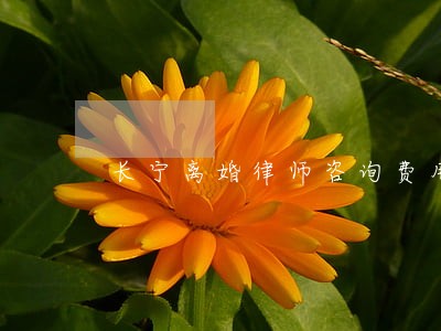 长宁离婚律师咨询费用 长宁离婚律师咨询费用