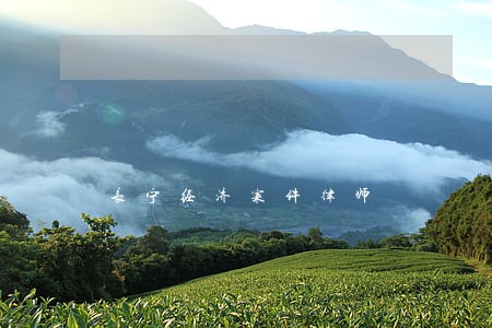 长宁经济案件律师 长宁经济案件律师