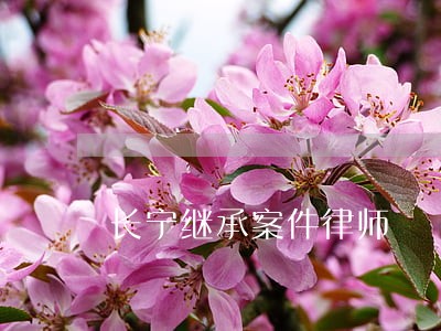 长宁继承案件律师