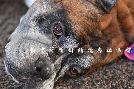 长宁评价好的债务担保律师 长宁评价好的债务担保律师