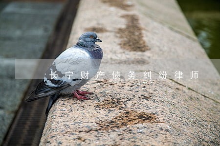 长宁财产债务纠纷律师 长宁财产债务纠纷律师