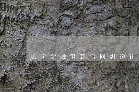 长宁金融借款合同纠纷律师 长宁金融借款合同纠纷律师