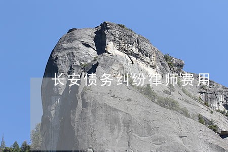 长安债务纠纷律师费用 长安债务纠纷律师费用