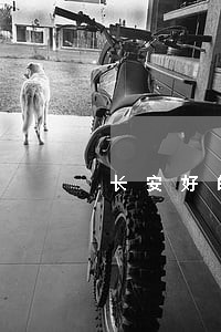 长安好的行政复议律师电话咨询 长安好的行政复议律师电话咨询