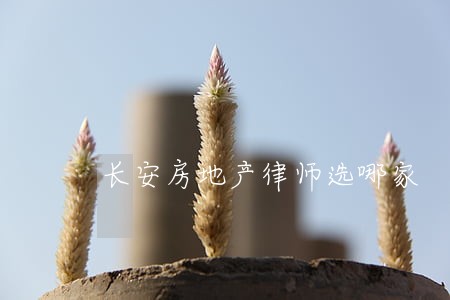 长安房地产律师选哪家 长安房地产律师选哪家